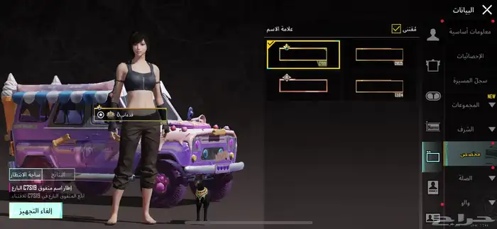 حساب ببجي للبيع الصامل 6