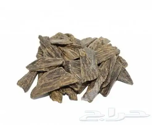 عود ازرق وعود تايقر 0