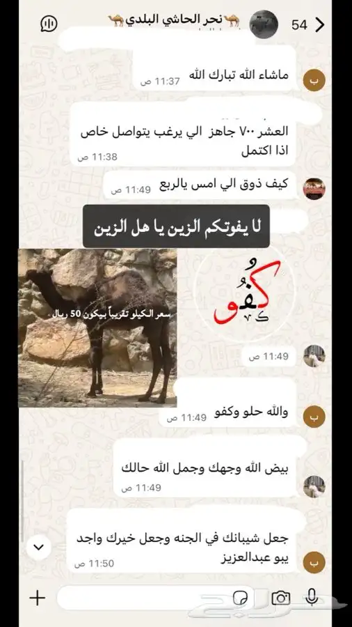 بيع حاشي لباني العشر ب 700 2