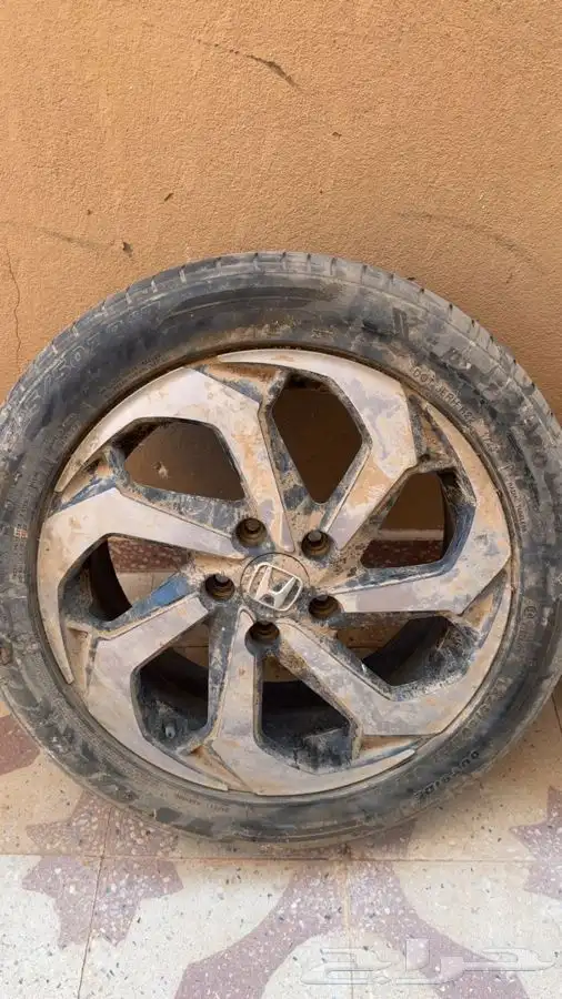 جنوط 6