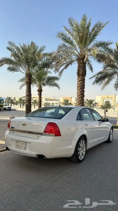 كابرس 2014 ابيض للبيع 5
