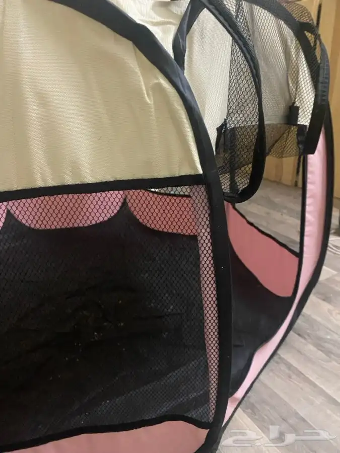 بيت القطط 0