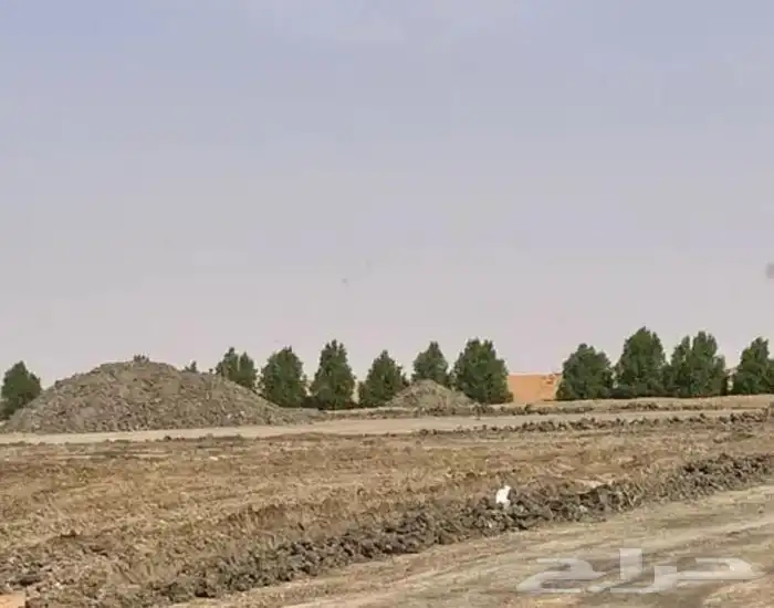 سماد بياض 2
