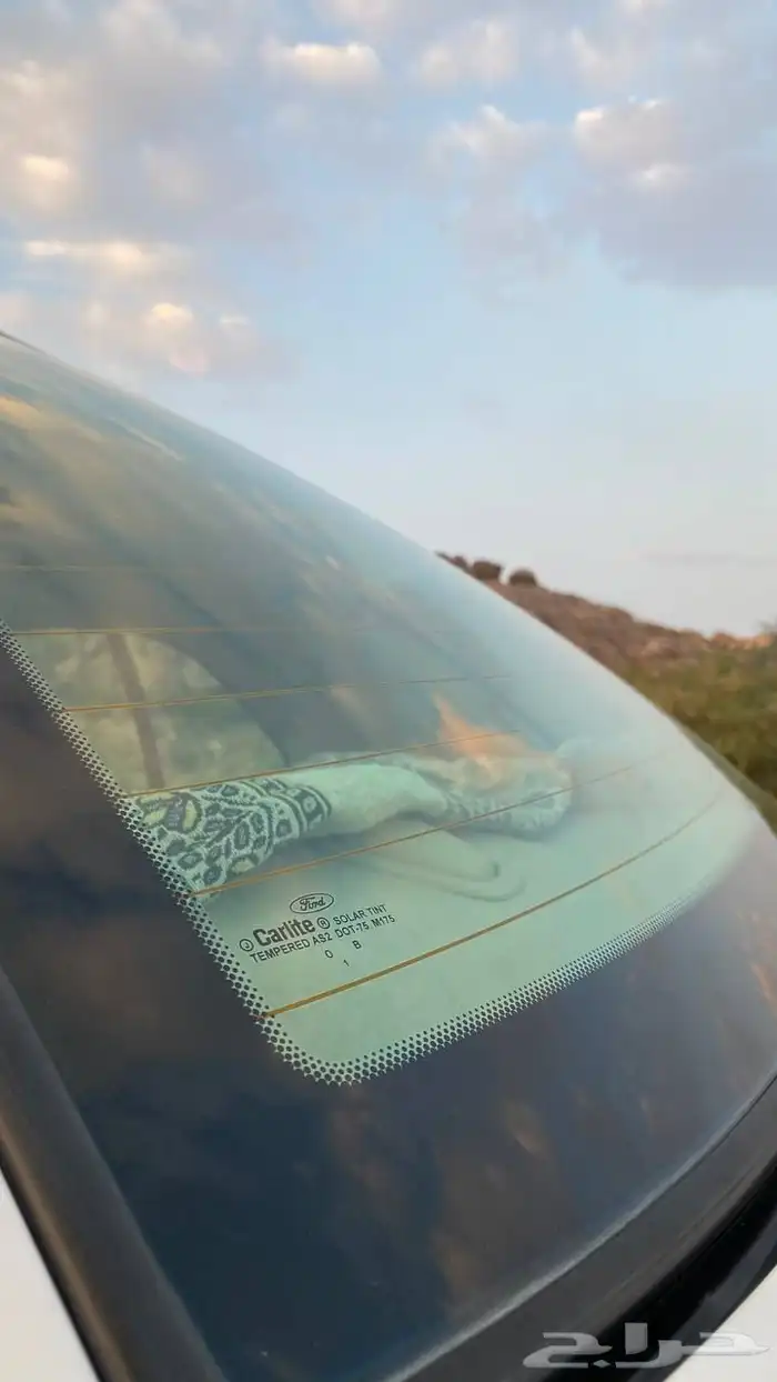 فورد فكتوريا 2010 مخزن ( تم البيع ) 20