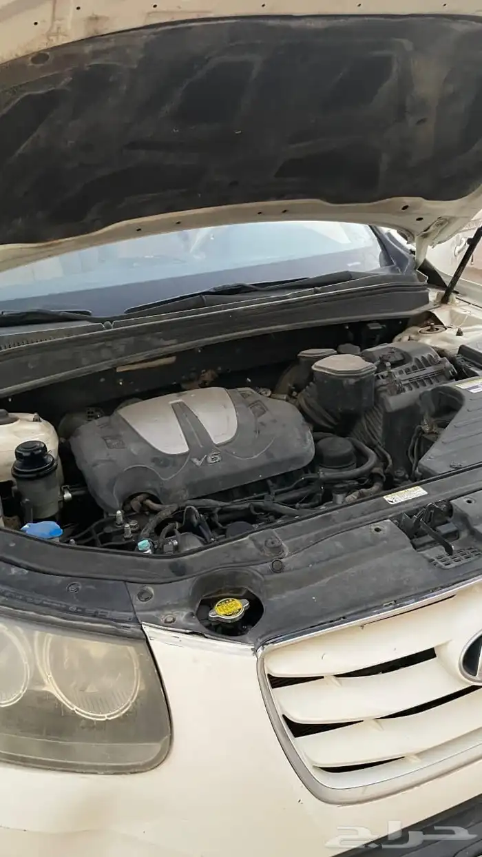 سنتافيه 2011 7