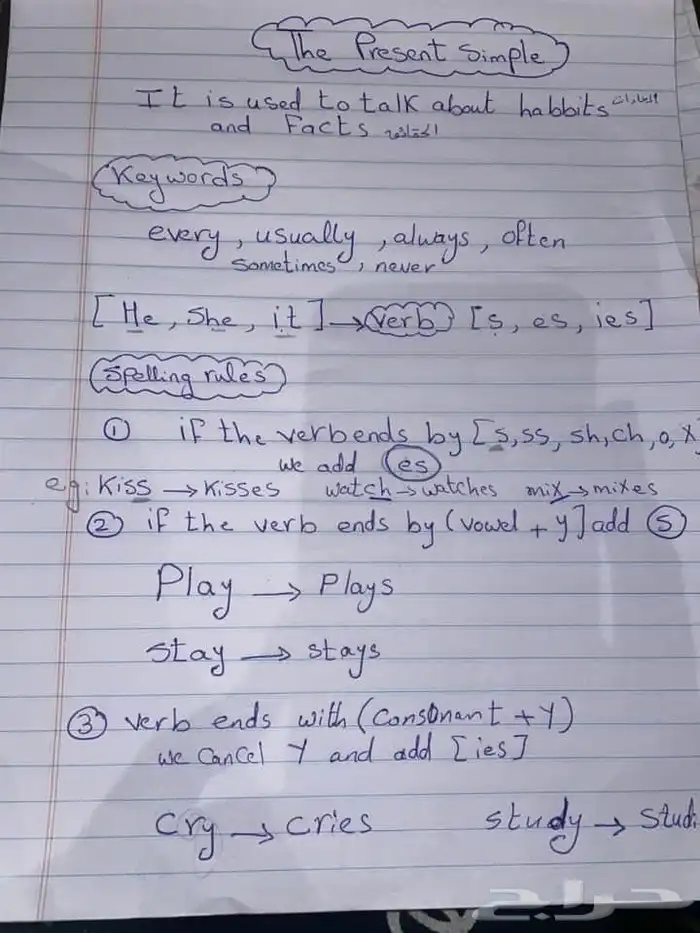معلمة انجليزية و تأسيس و مناهج 5