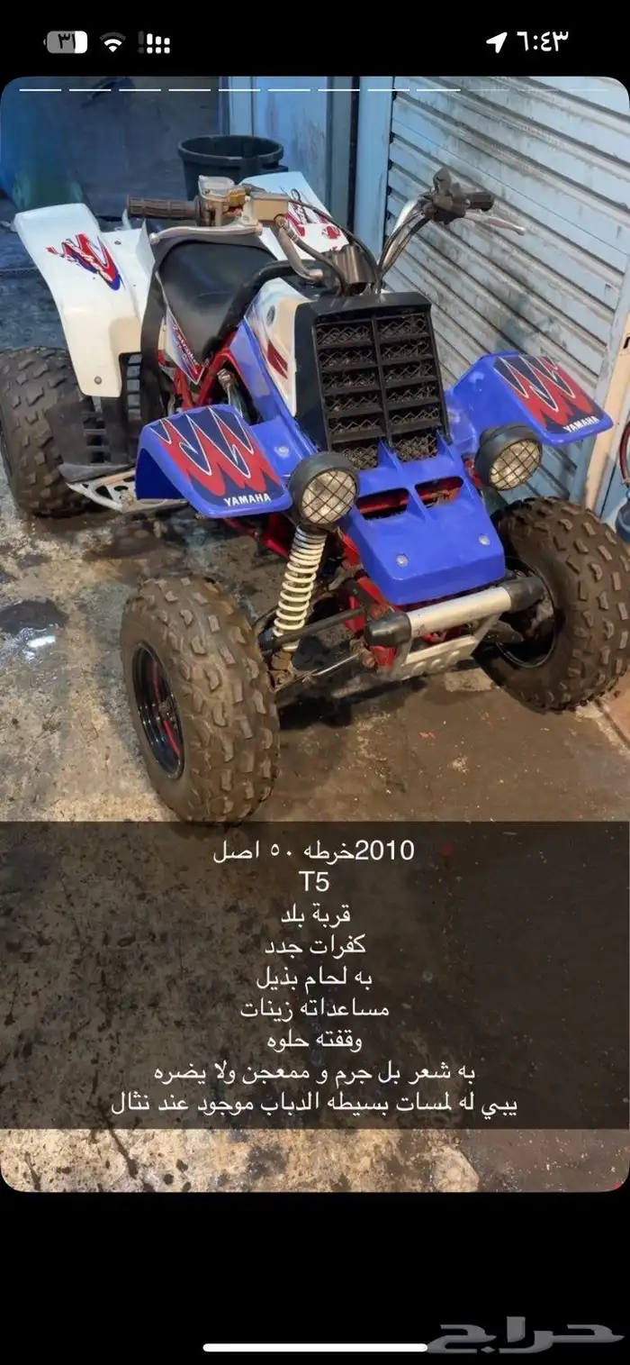 بانشي 2010 1