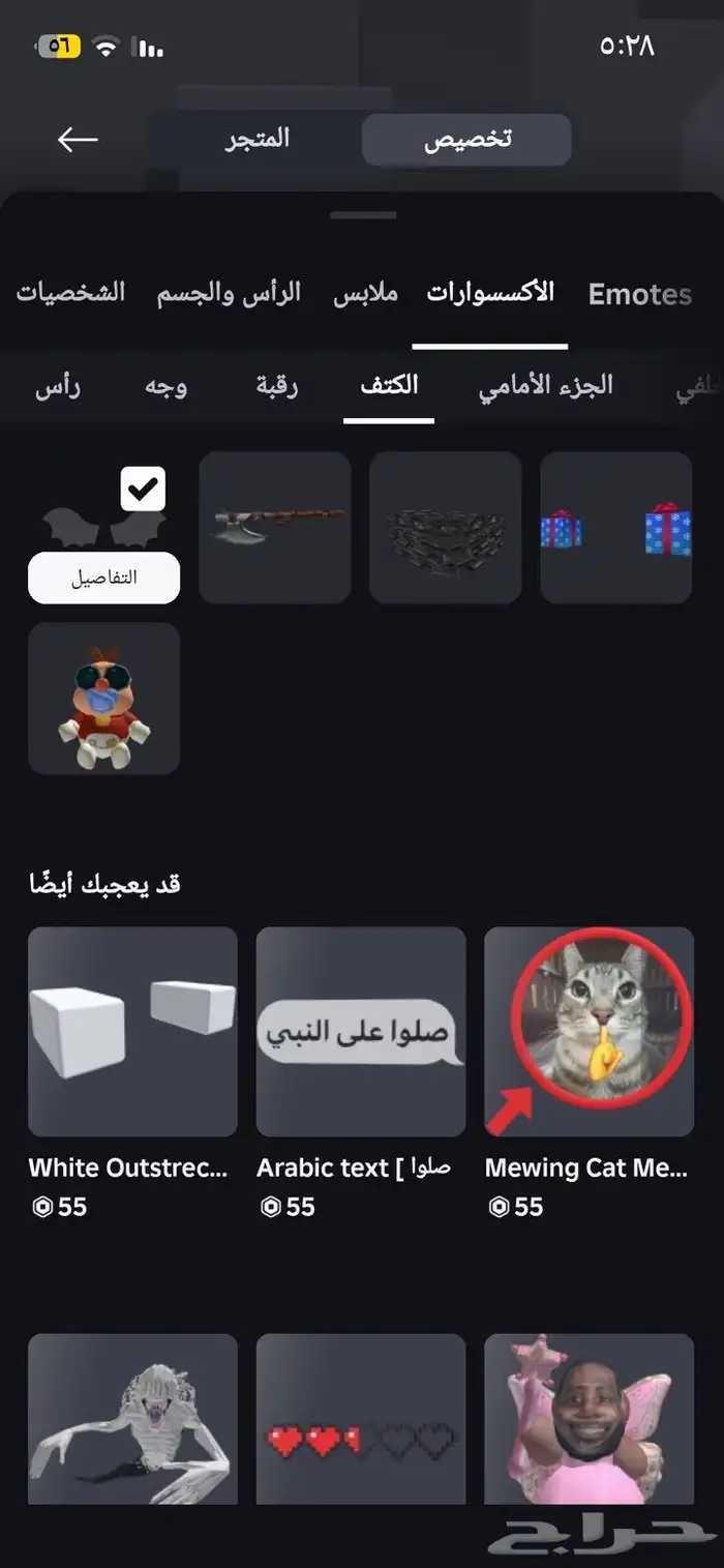 حساب روبلوكس فيه نوادر من ملابس و مابات 18