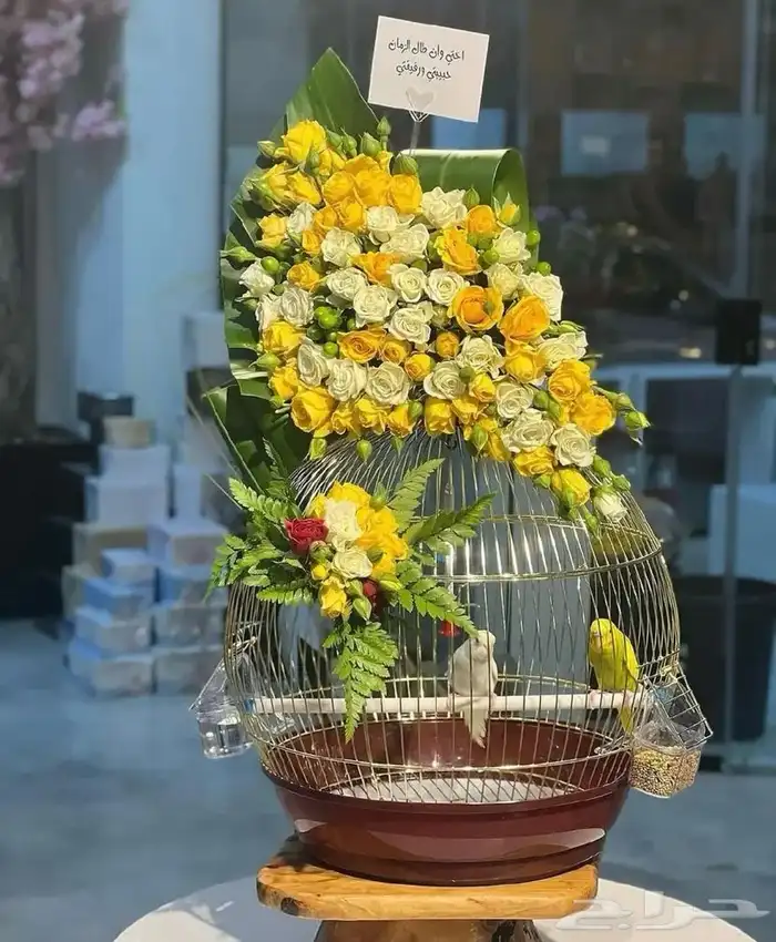 هدايا ورد خميس مشيط ابها احد رفيدة توصيل ورد هدايا الجنوب 25