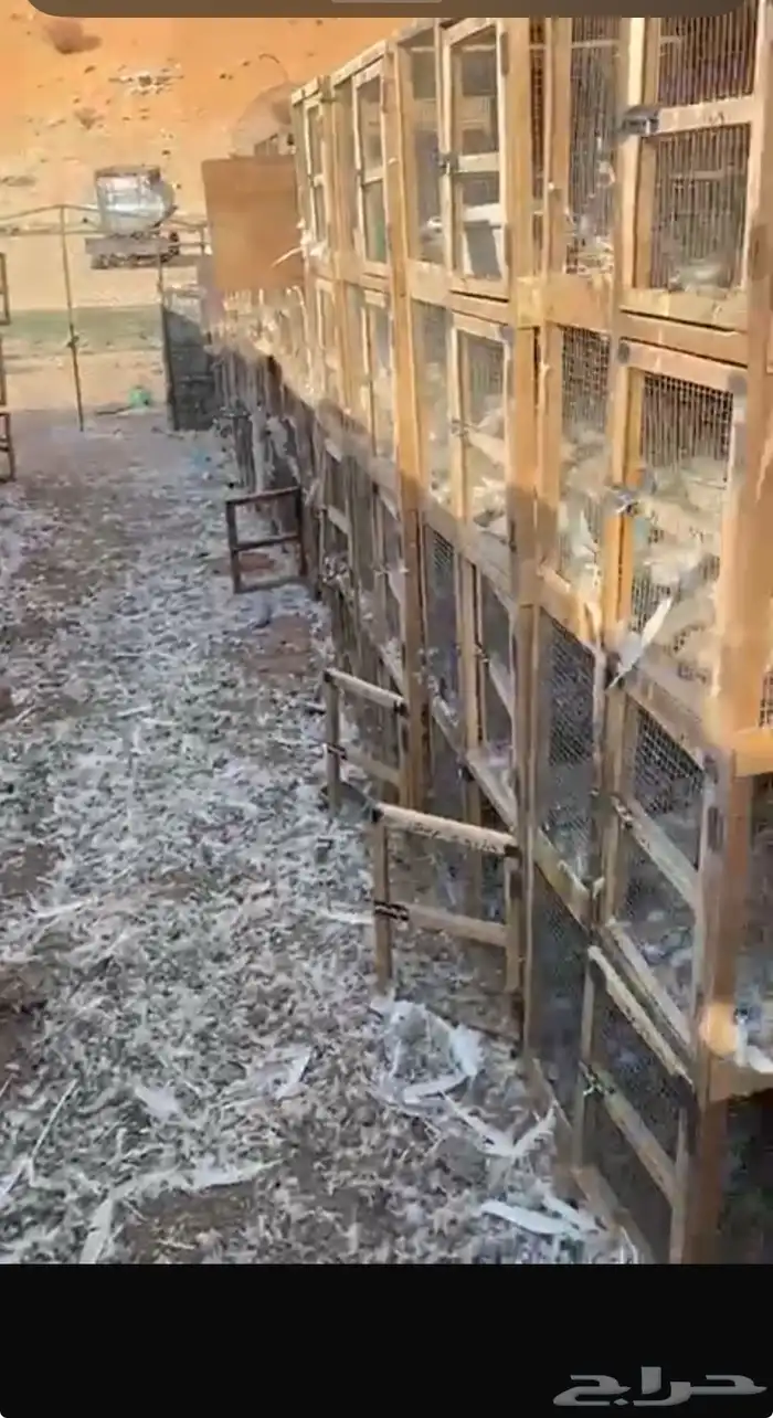 محكرر حمام البيع 0