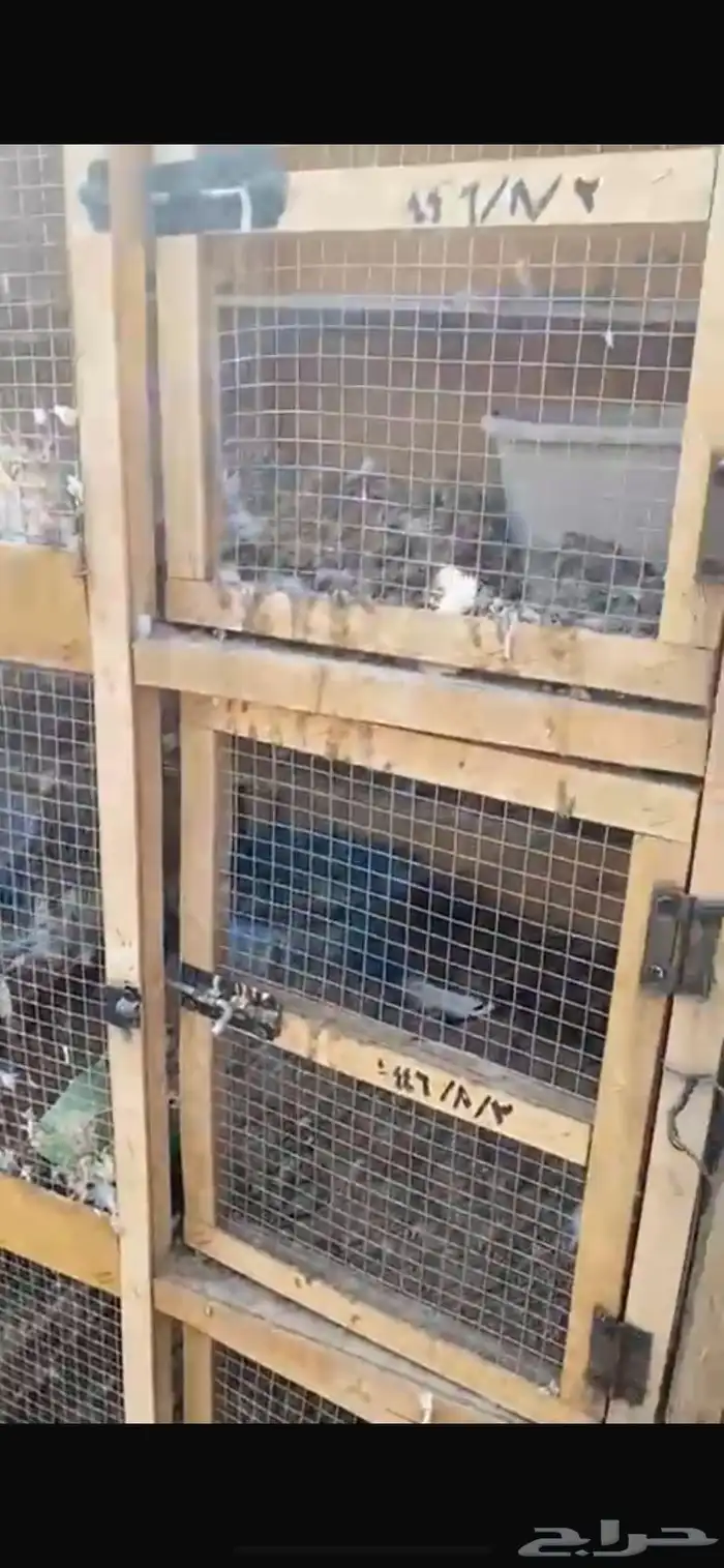 محكرر حمام البيع 2