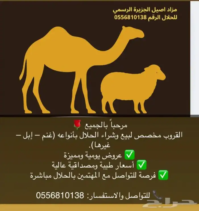 ذود في قروب حياكم الله إبل غنم حلال 2
