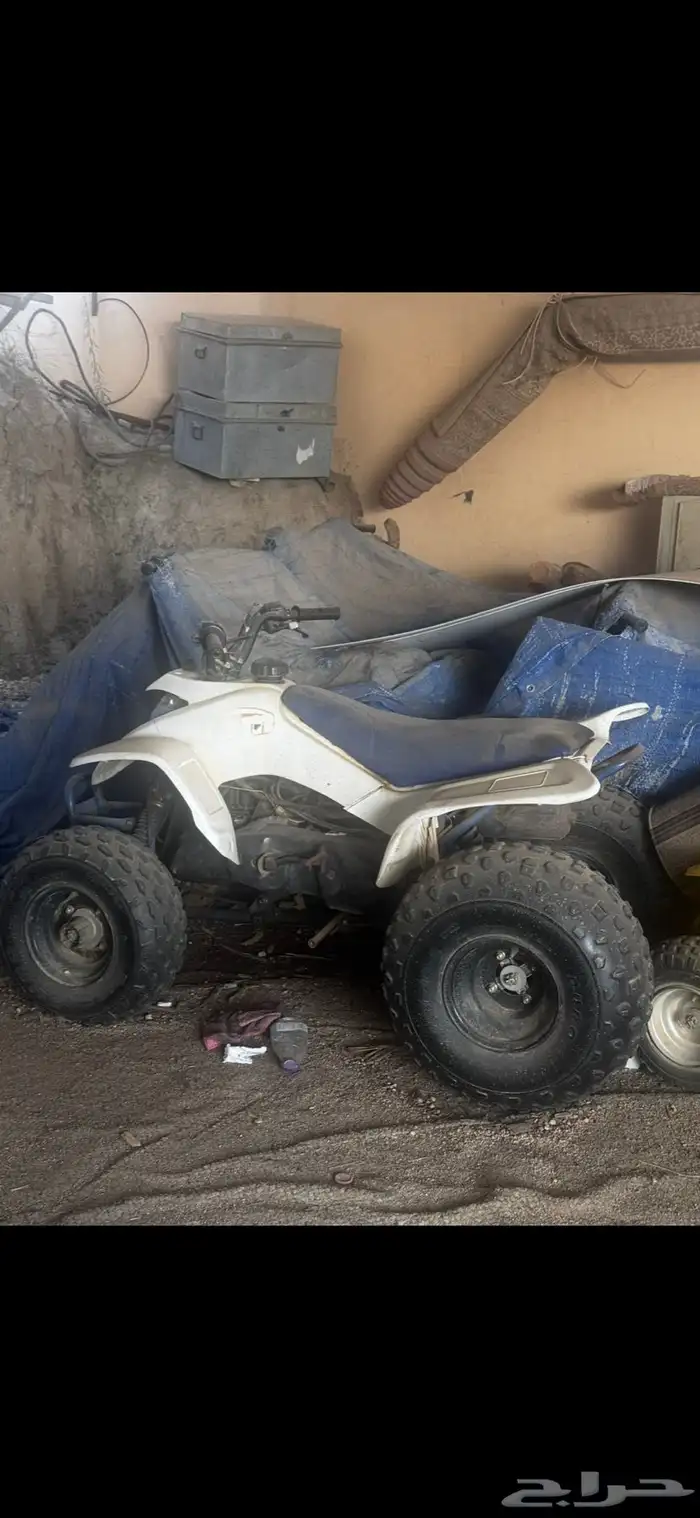 دباب 1