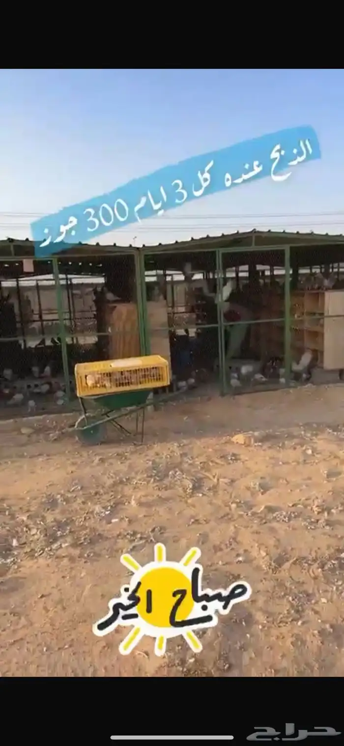 مشروع حمام لاحم فرنسي وسلفر 9