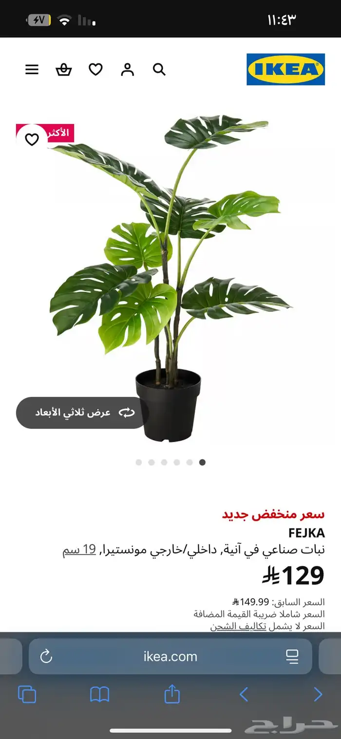 ورد ونبات واشجار ايكيا وهوم سنتر وستاره للبيع 17