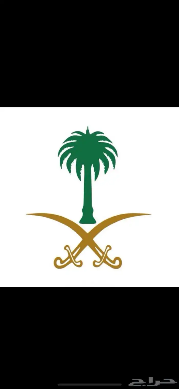 مطلوب شقة 0