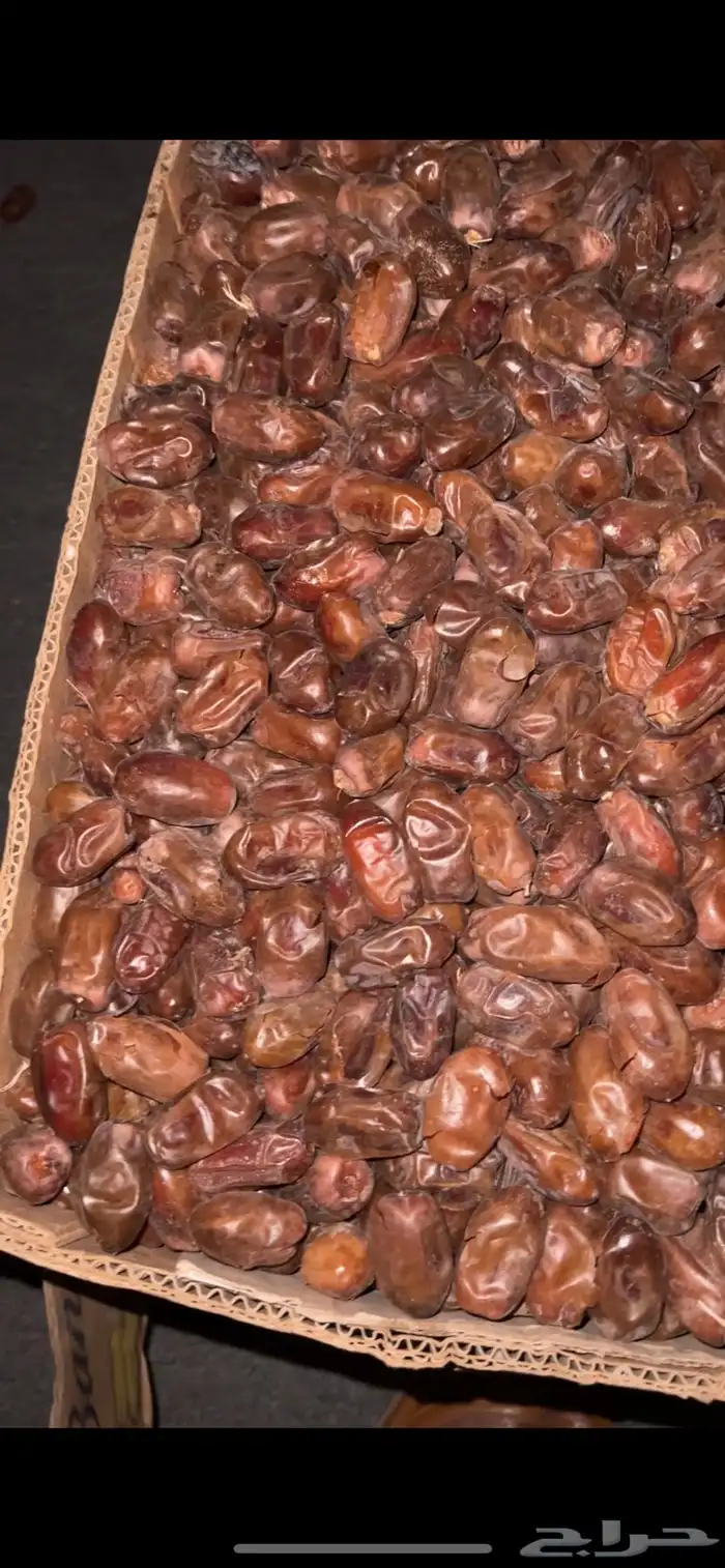 للبيع تمر سري وادي الدواسر السليل 0