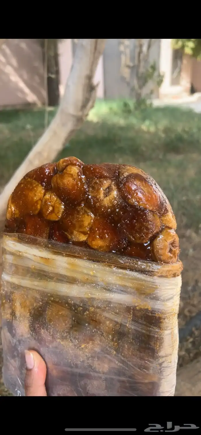 سكري الزلفي 1