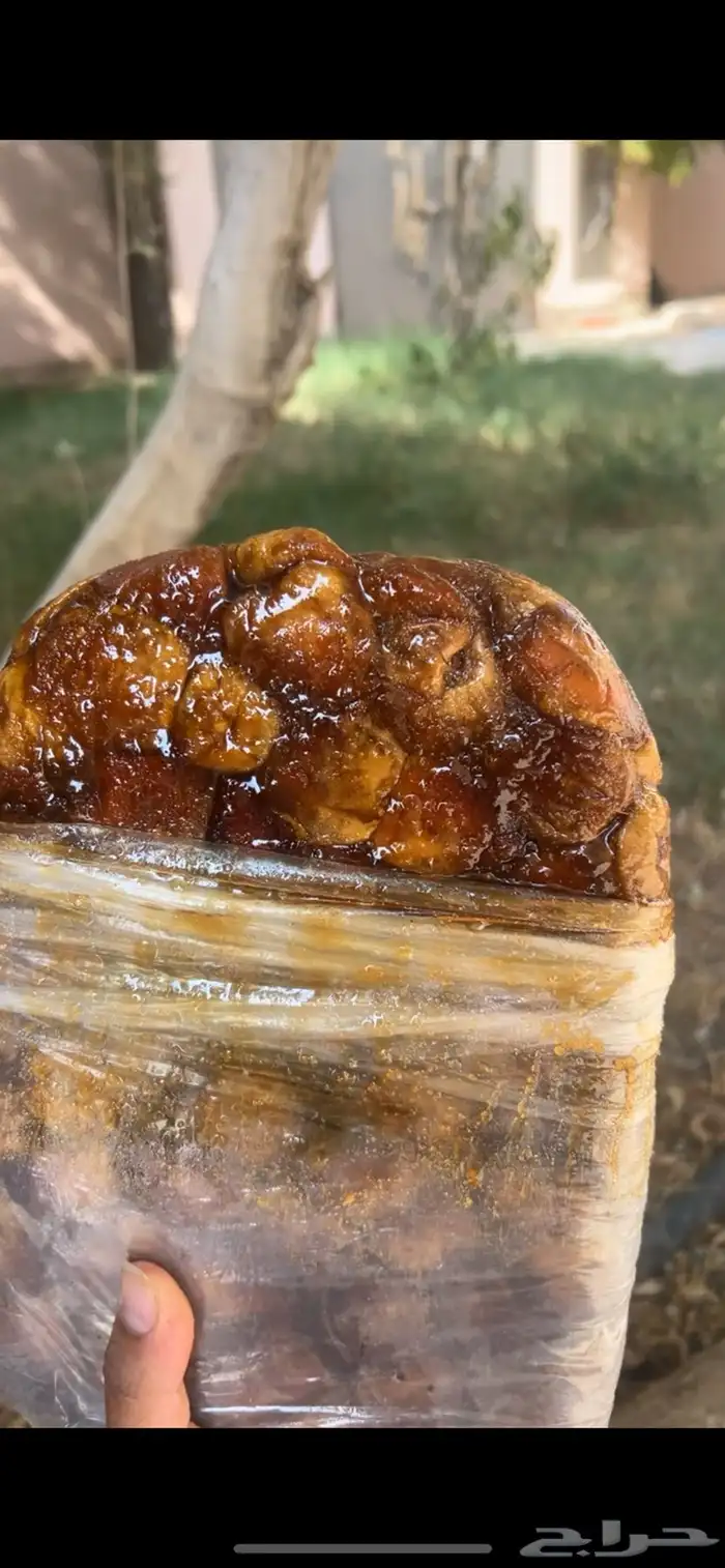 سكري الزلفي 0