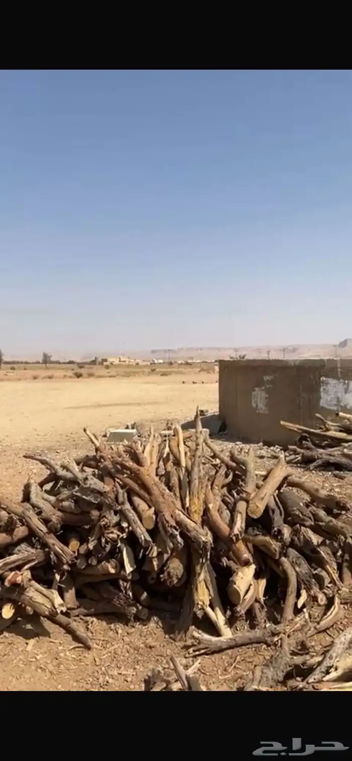 حطب مستورد 0