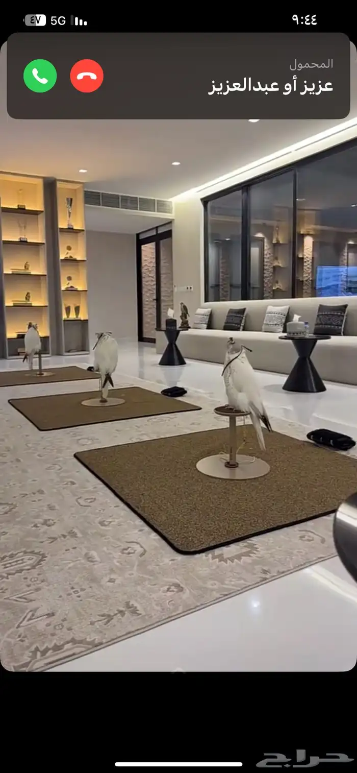 ربط صقور مبيت و دعو 0