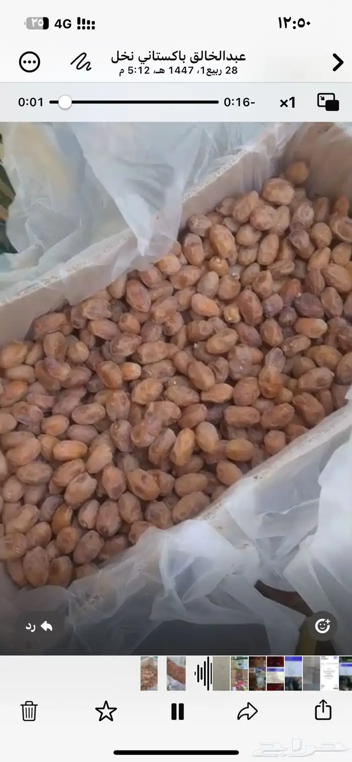 تمر خلاص انتاج جديد 0