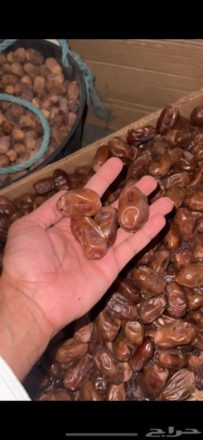 للبيع تمر سري وادي الدواسر السليل 2