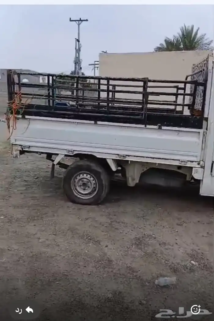 شبك دباب ديهاستوا 0