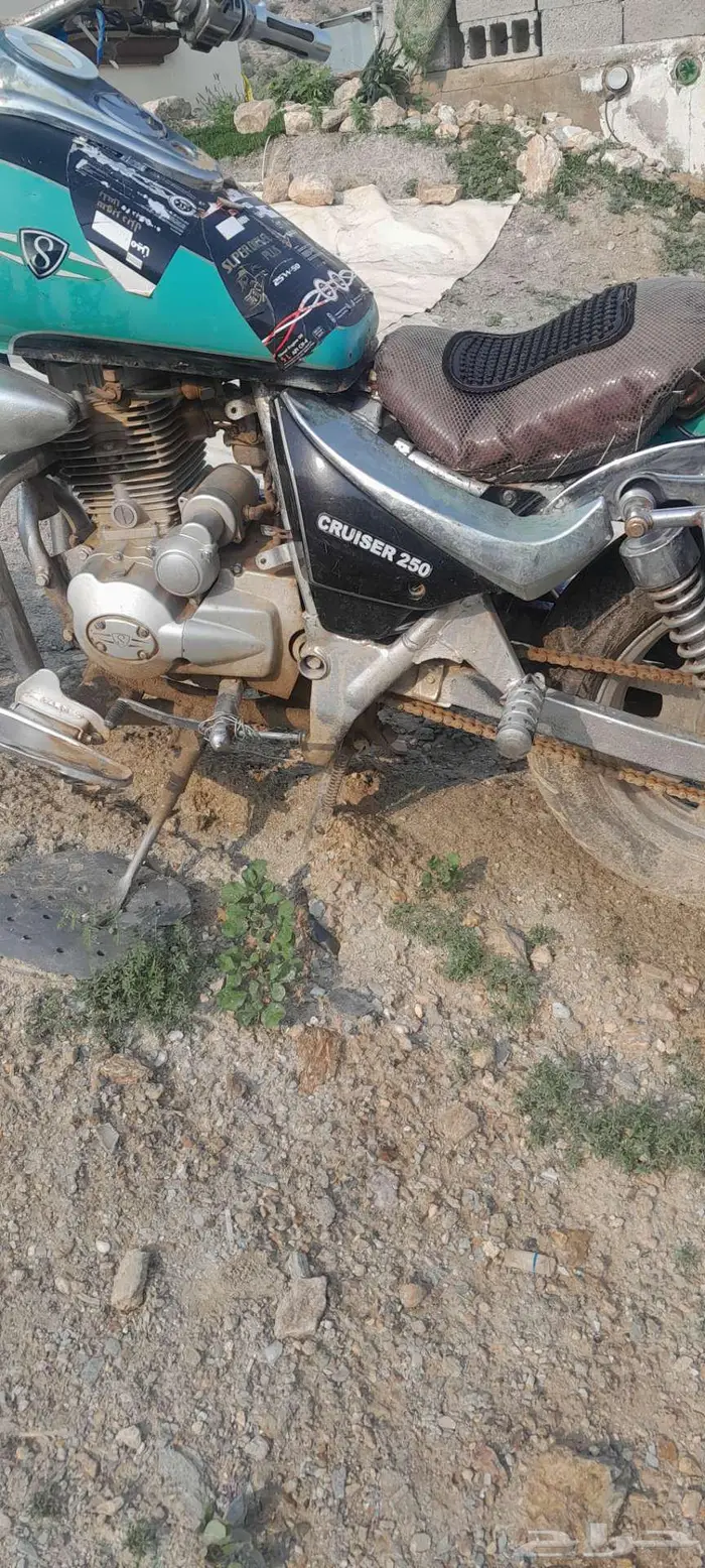 محايل عسير 1
