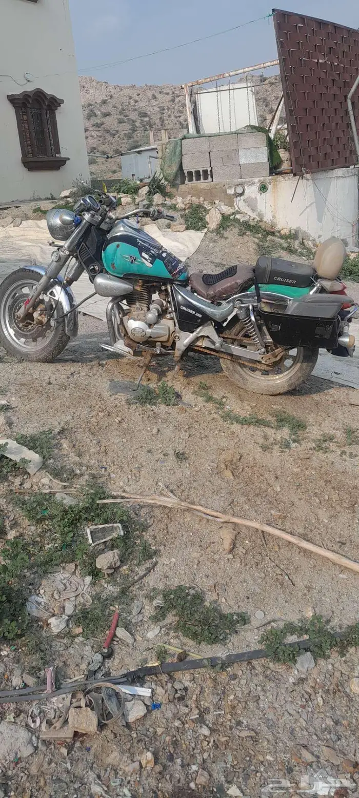 محايل عسير 5