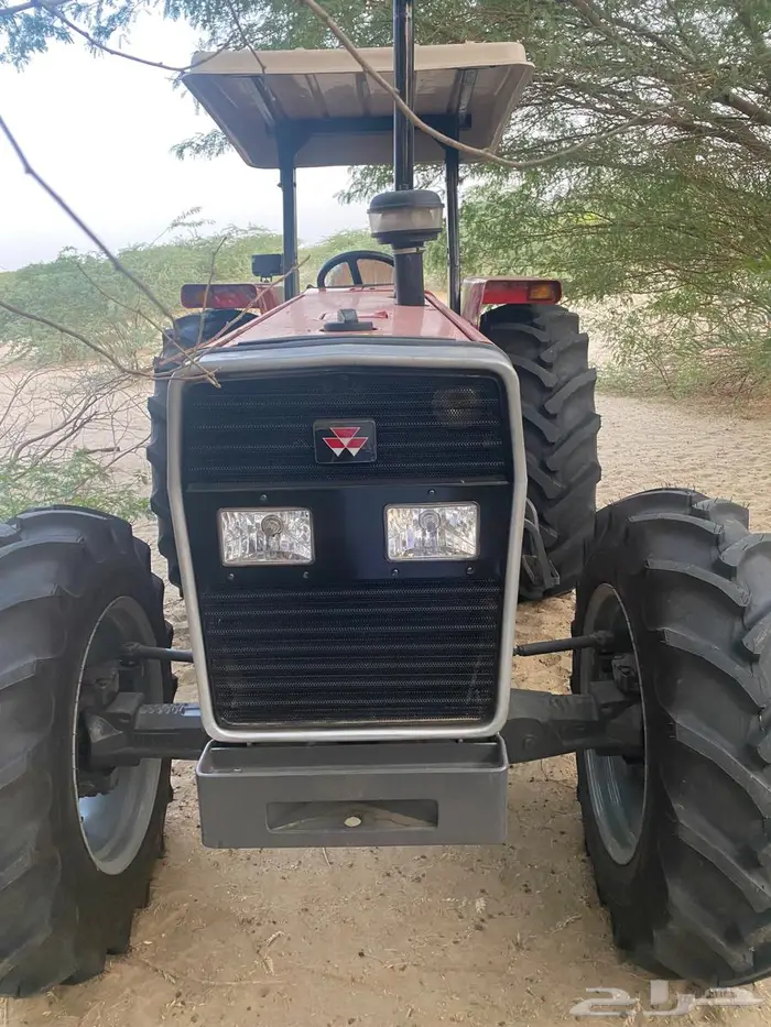 الليث - الشواق 1