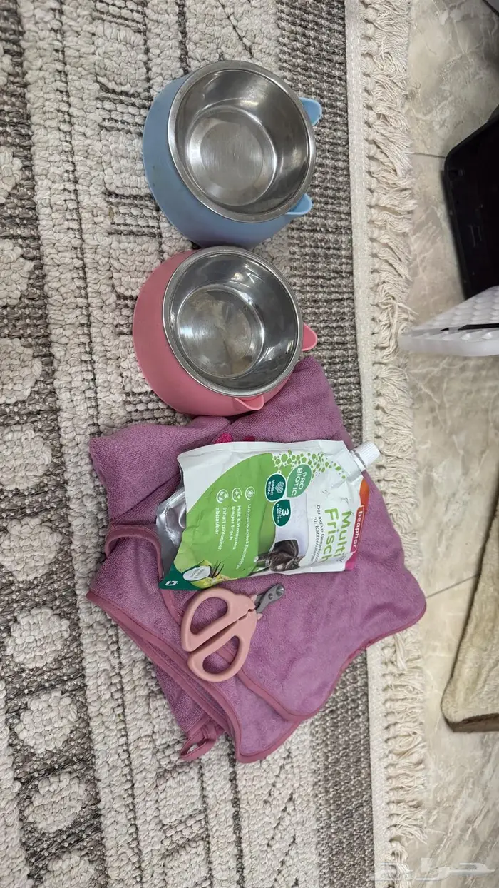 الدمام 2