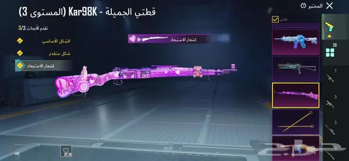 حساب ببجي فخم 8