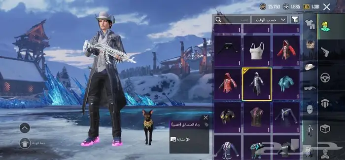 حساب ببجي فل نوادر للبيع 3