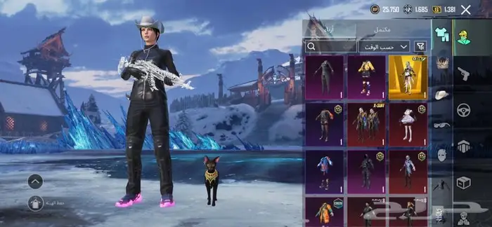 حساب ببجي فل نوادر للبيع 2