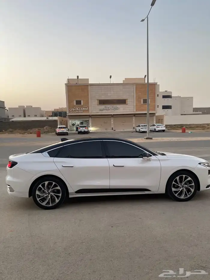 تورس للبيع 6