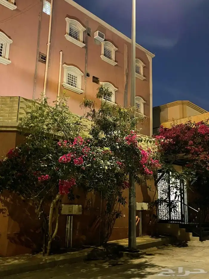 شقه للايجار حجلا المصيف طريق ابها الخميس الملك فهد 0