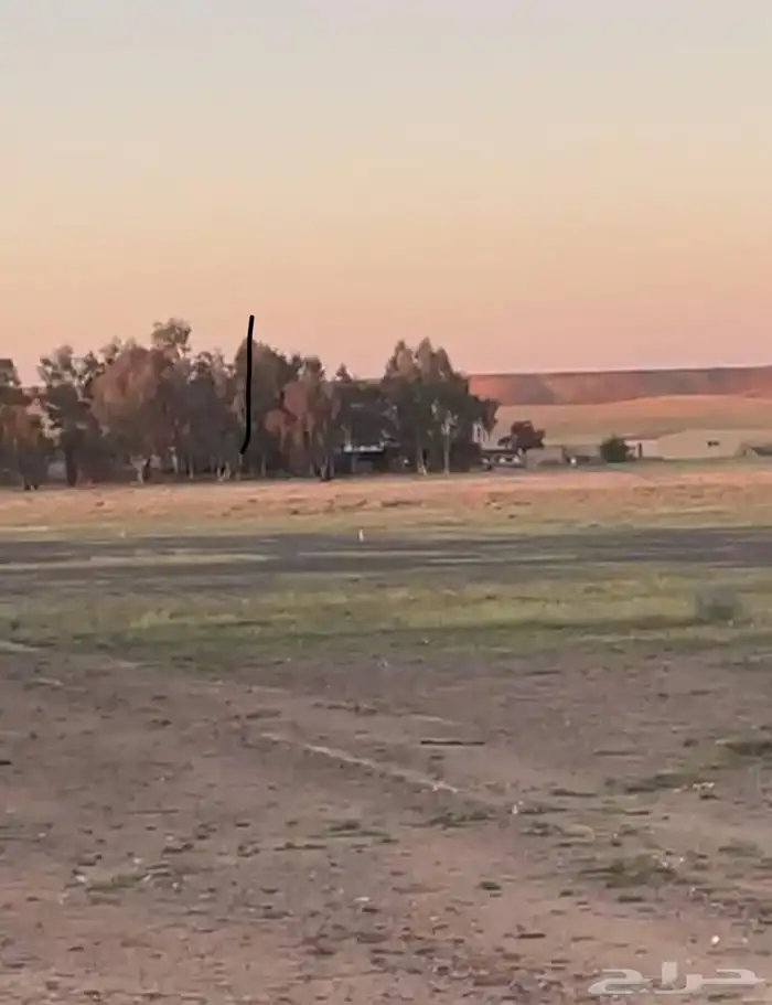 أرض زراعية في حائل 0