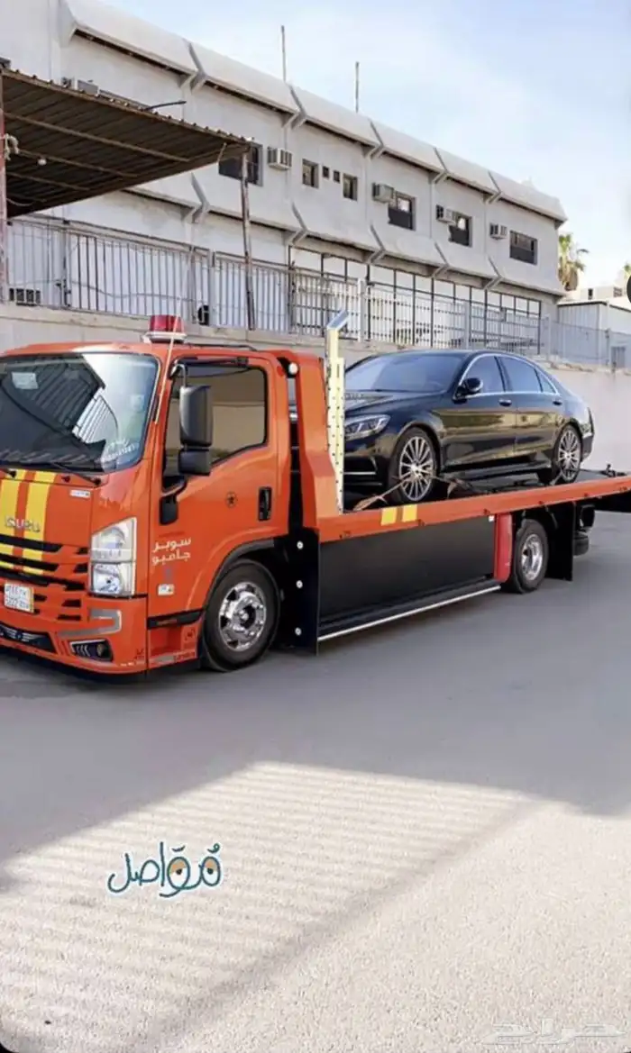 سطحه البتراء عقله الصقور 0