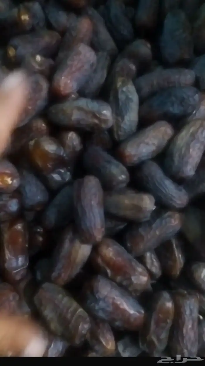 تمور المدينة ( عجوة - صفاوي- عنبره - صقعي ) 2