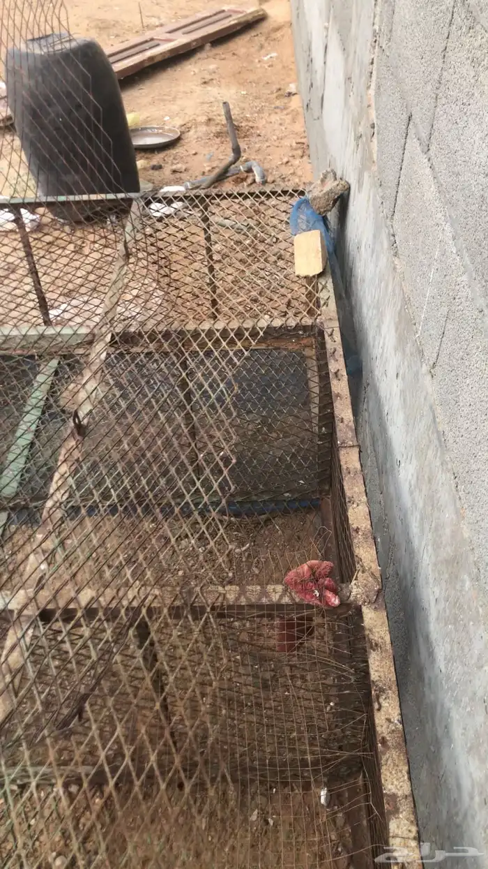 شبك دجاج او حمام 0