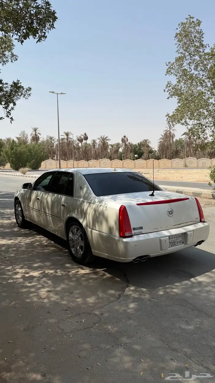 كاديلاك DTS بلاتينيوم بلوحة مميزة 8