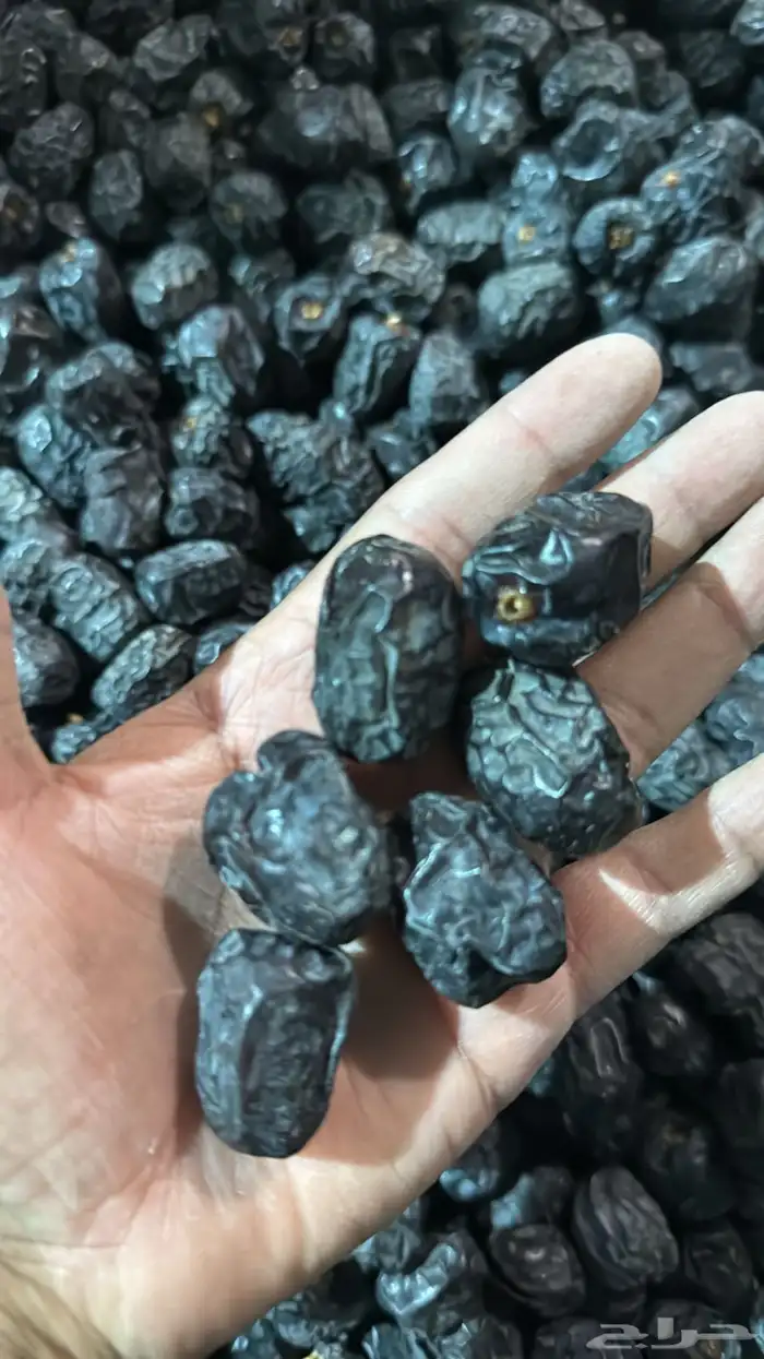 تمور المدينة ( عجوة - صفاوي- عنبره - صقعي ) 10