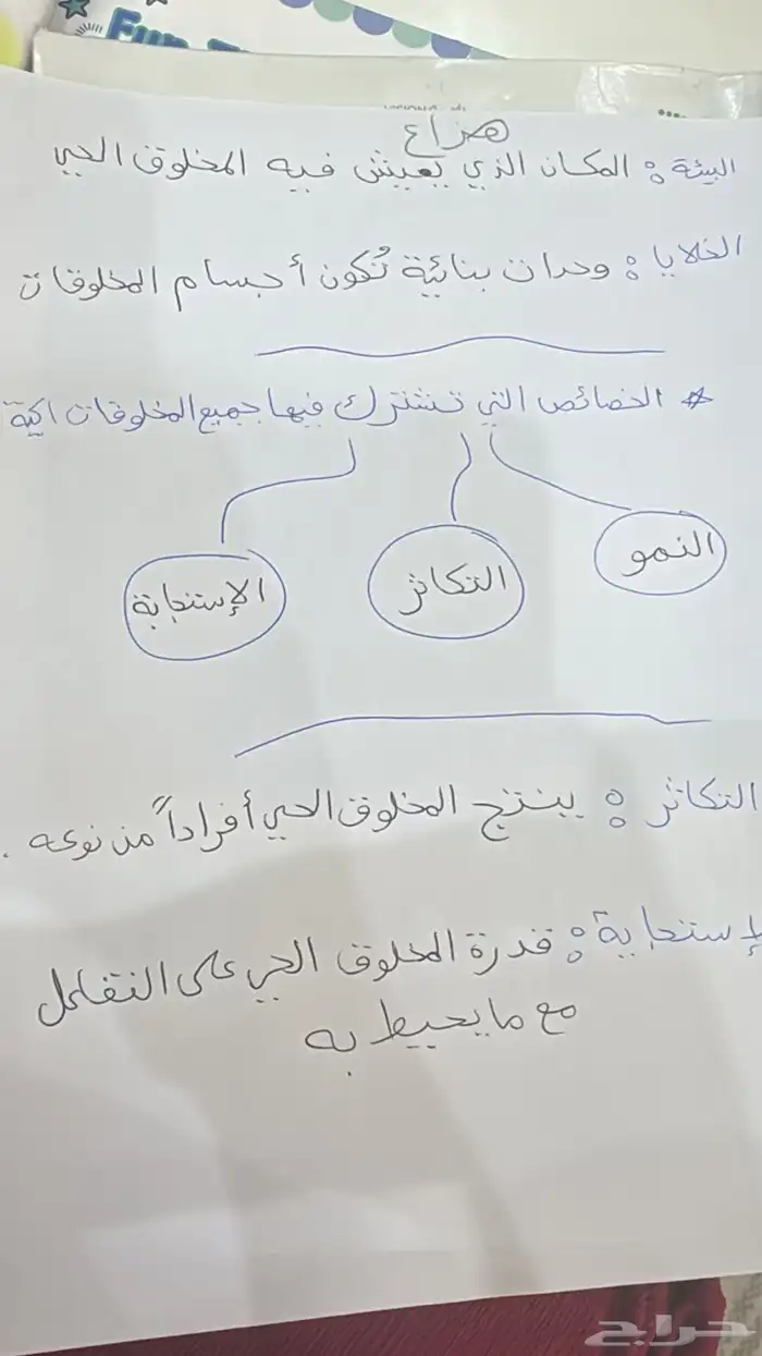 معلمة تأسيس وحصص للإختبارات لجميع المواد خبره في التدريس 3