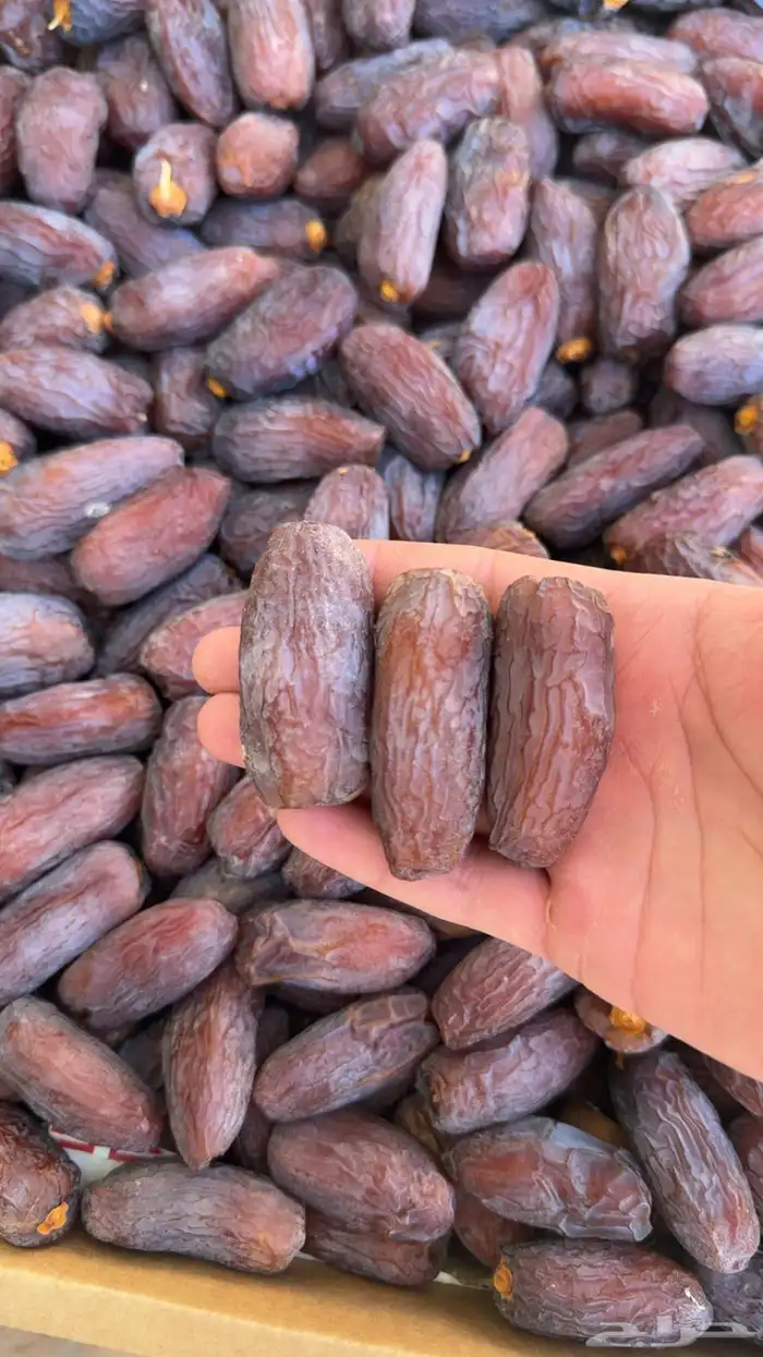 تمر مجدول فاخر 0