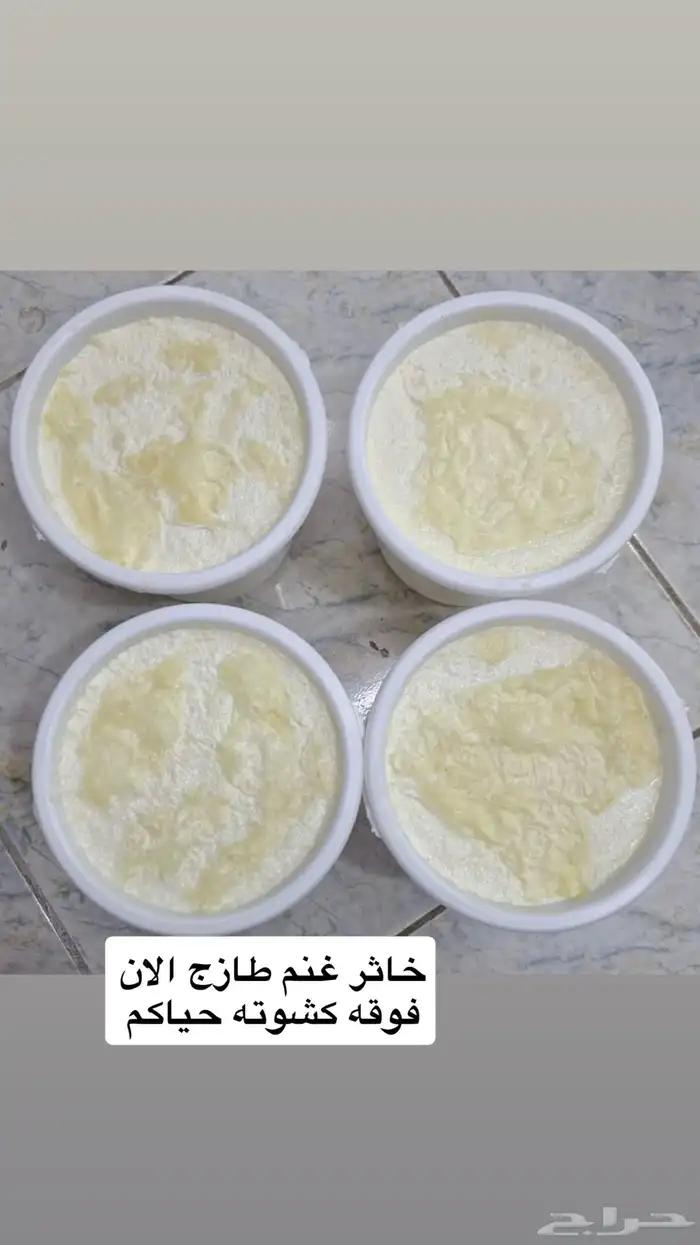 زبده غنم سمن غنم جبنه غنم خاثر غنم لبت لبنه مقدوس نوعين 36