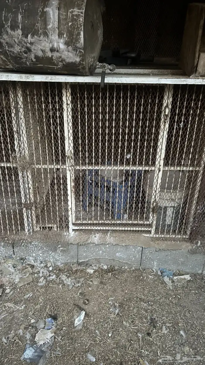 محاكر حديد 1