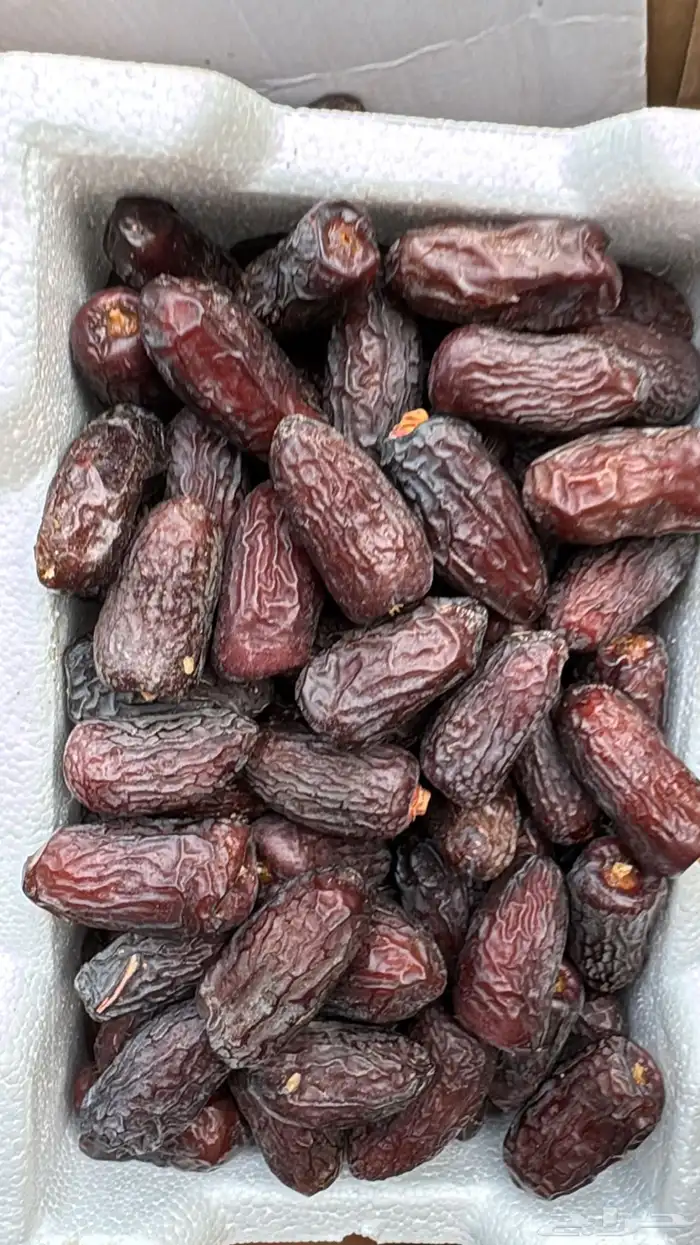 تمور المدينة ( عجوة - صفاوي- عنبره - صقعي ) 7