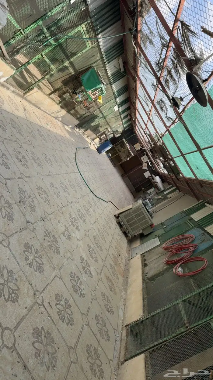 حوش للايجار 0