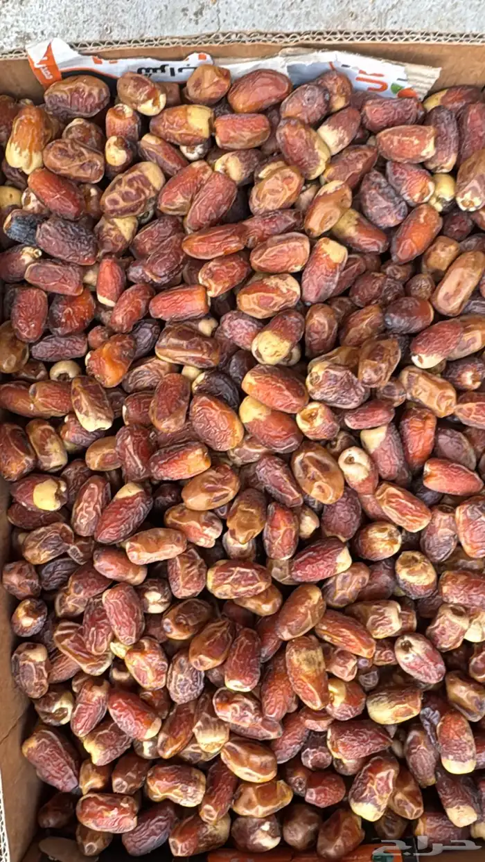 تمور المدينة ( عجوة - صفاوي- عنبره - صقعي ) 9